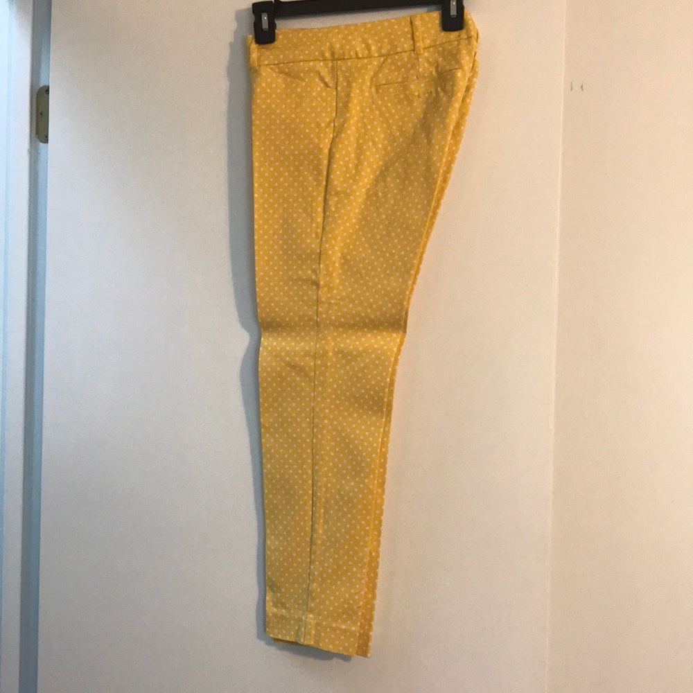 New York & Co slim fit